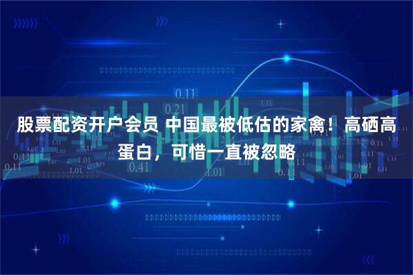 股票配资开户会员 中国最被低估的家禽!高硒高蛋白,可惜一直被忽略